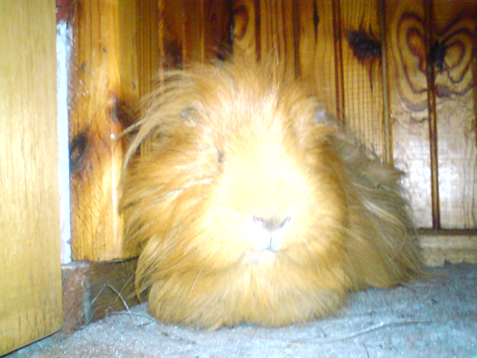 DSC00277.JPG