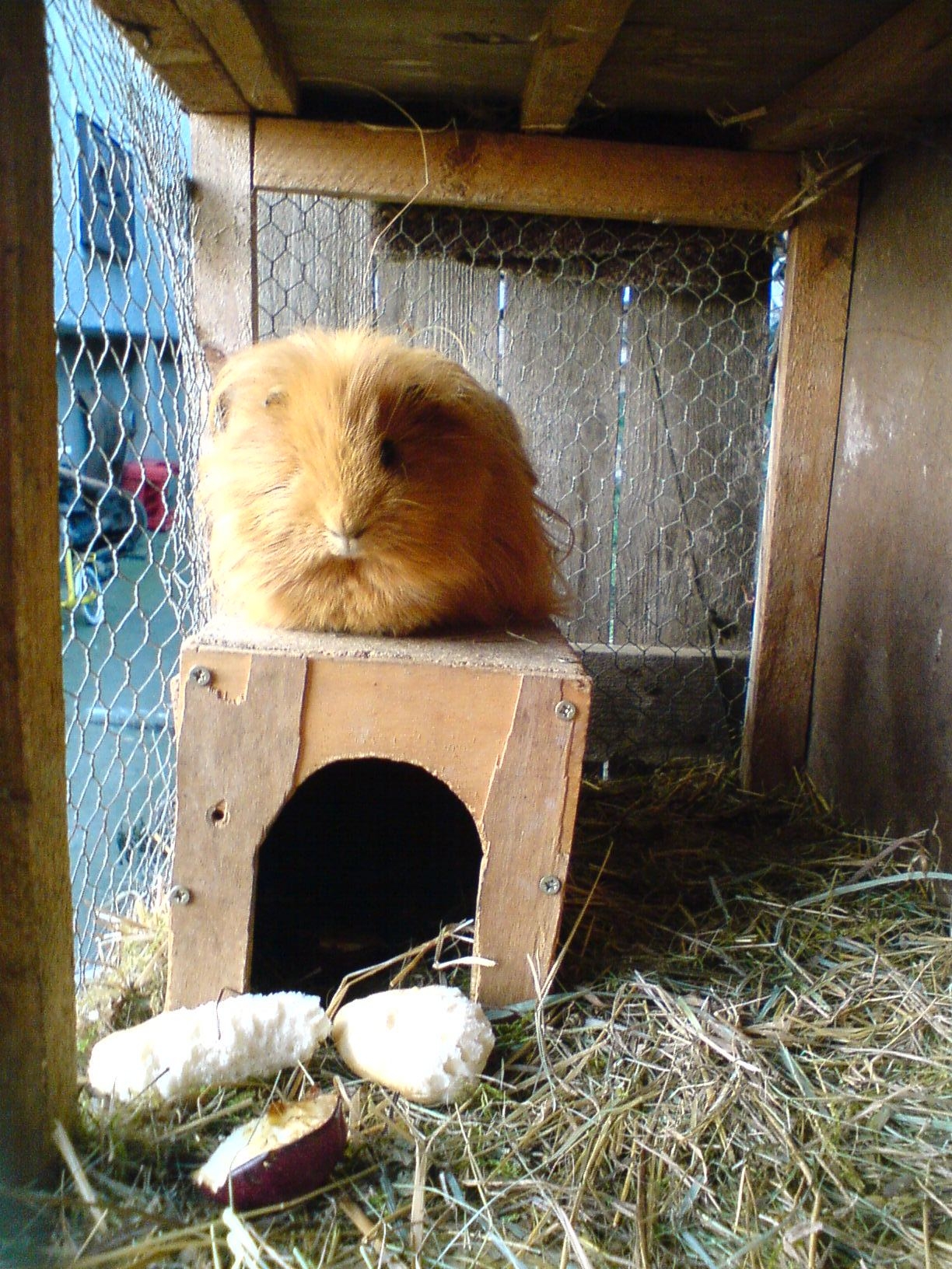 DSC00431.JPG