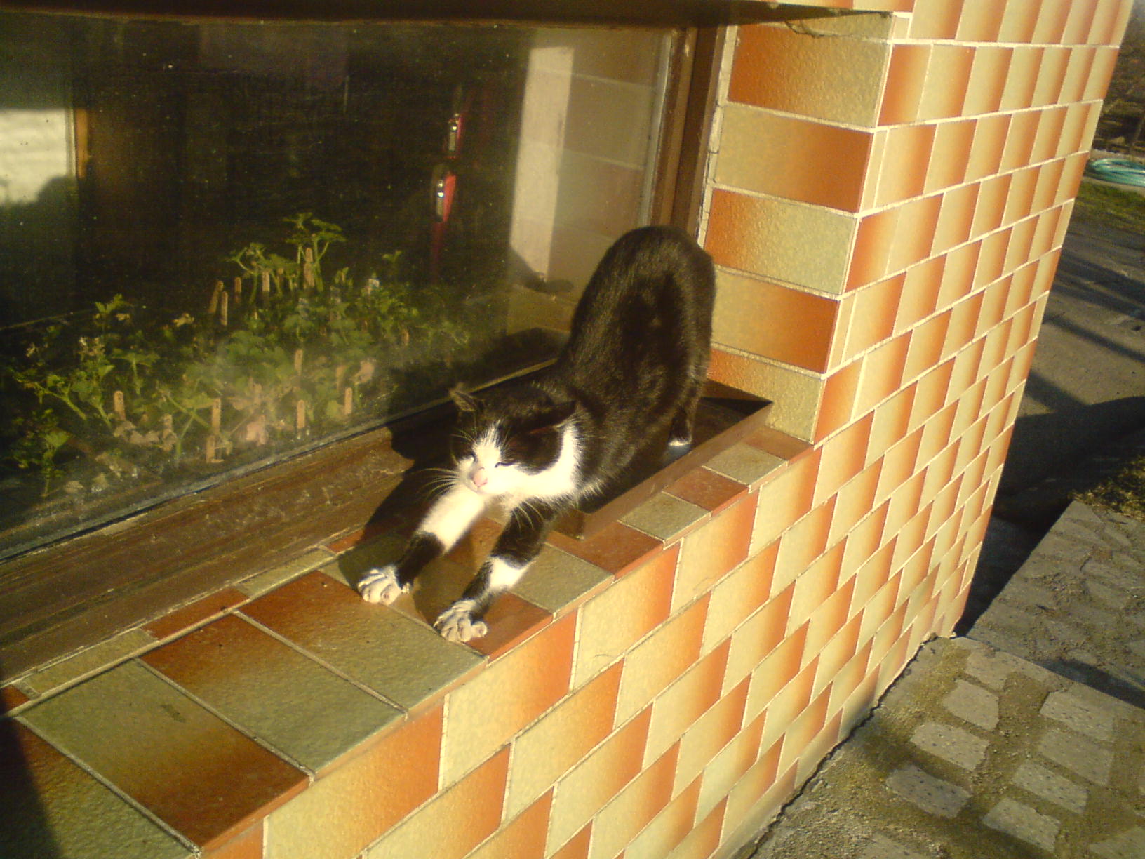 DSC00147.JPG