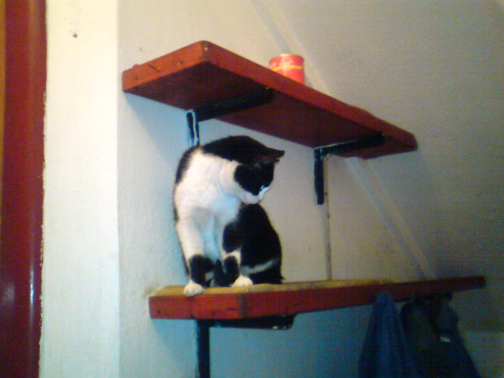 DSC00241.JPG
