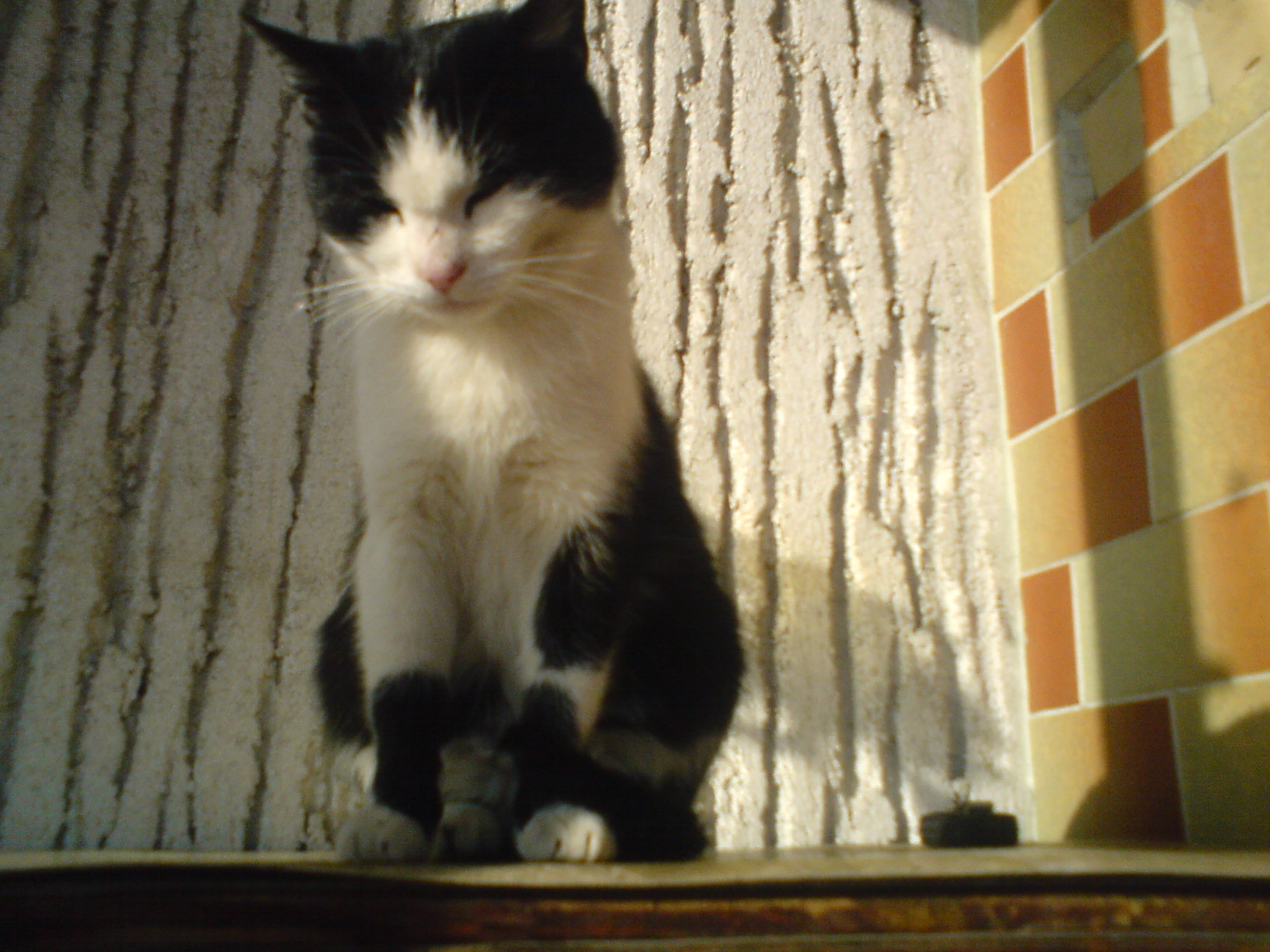 DSC00072.JPG