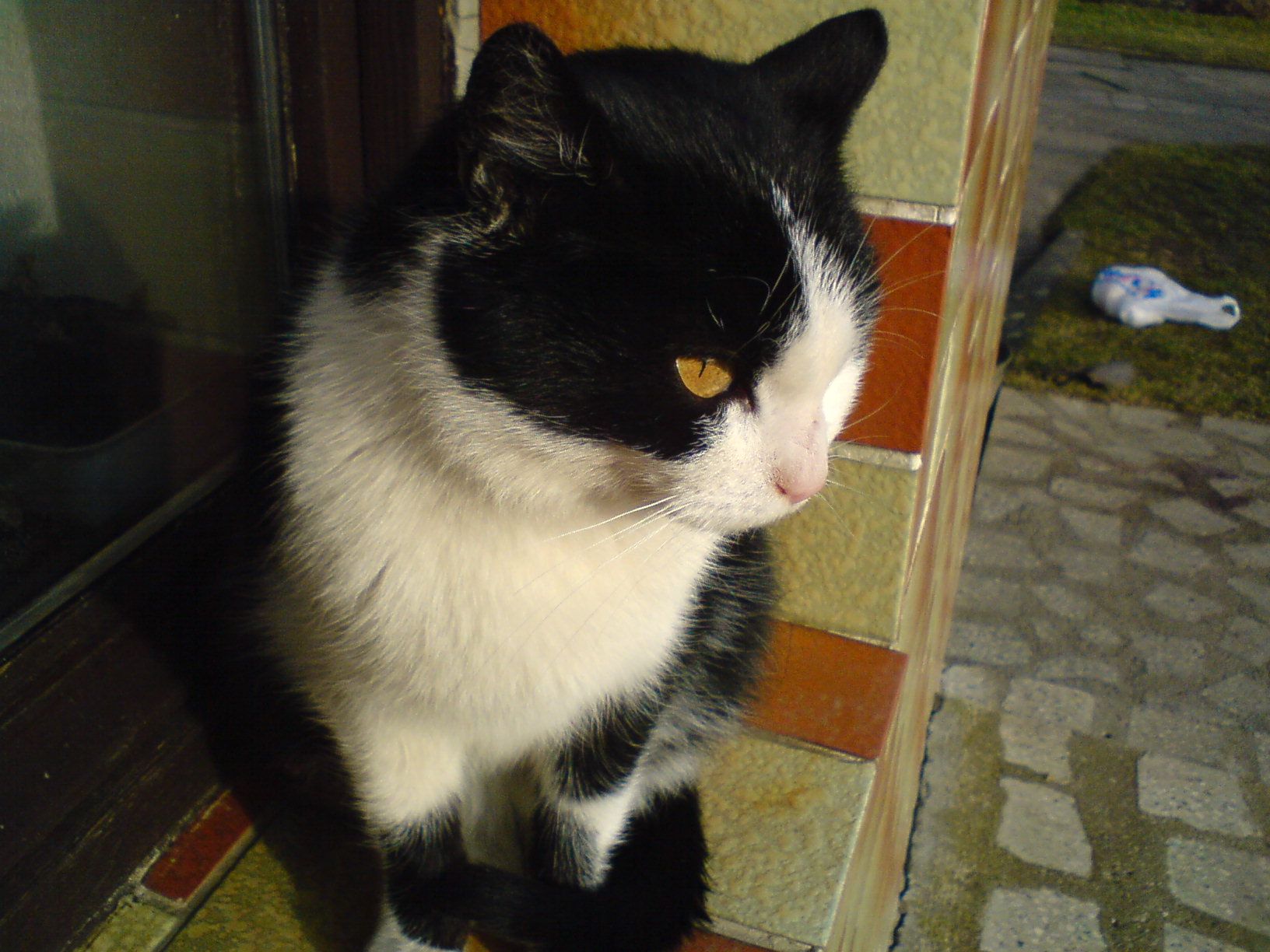 DSC00097.JPG