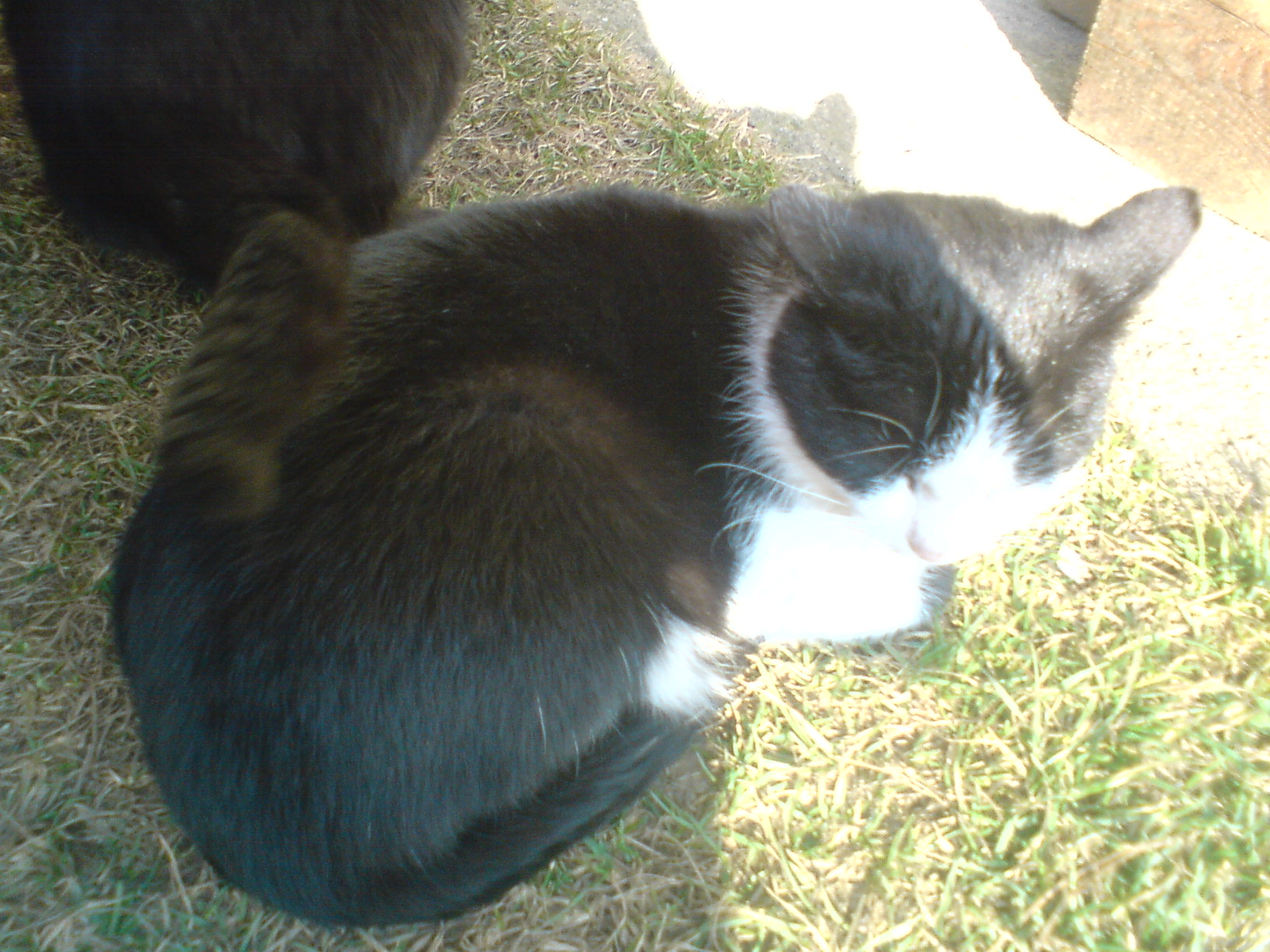 DSC00154.JPG