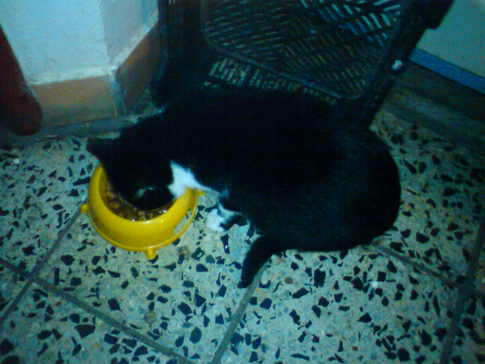 DSC00505.JPG