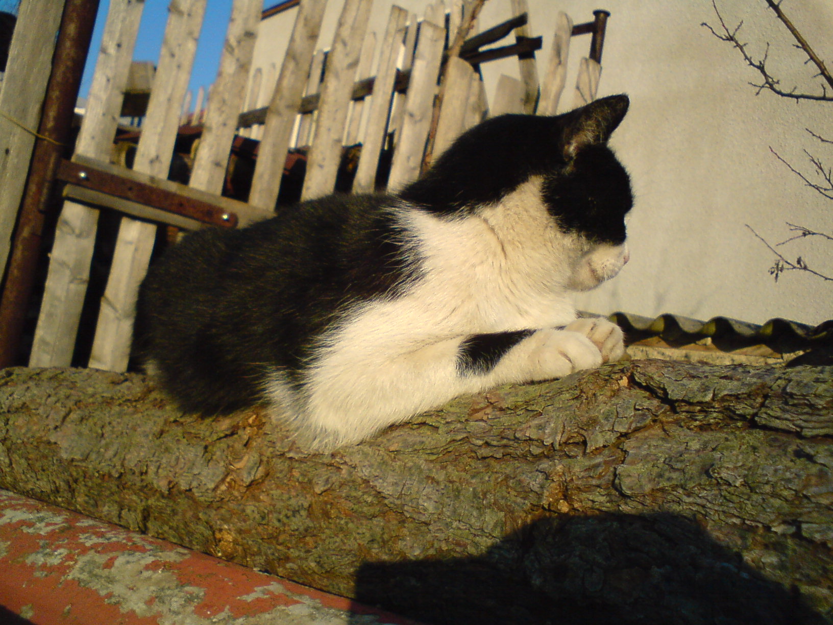 DSC00166.JPG