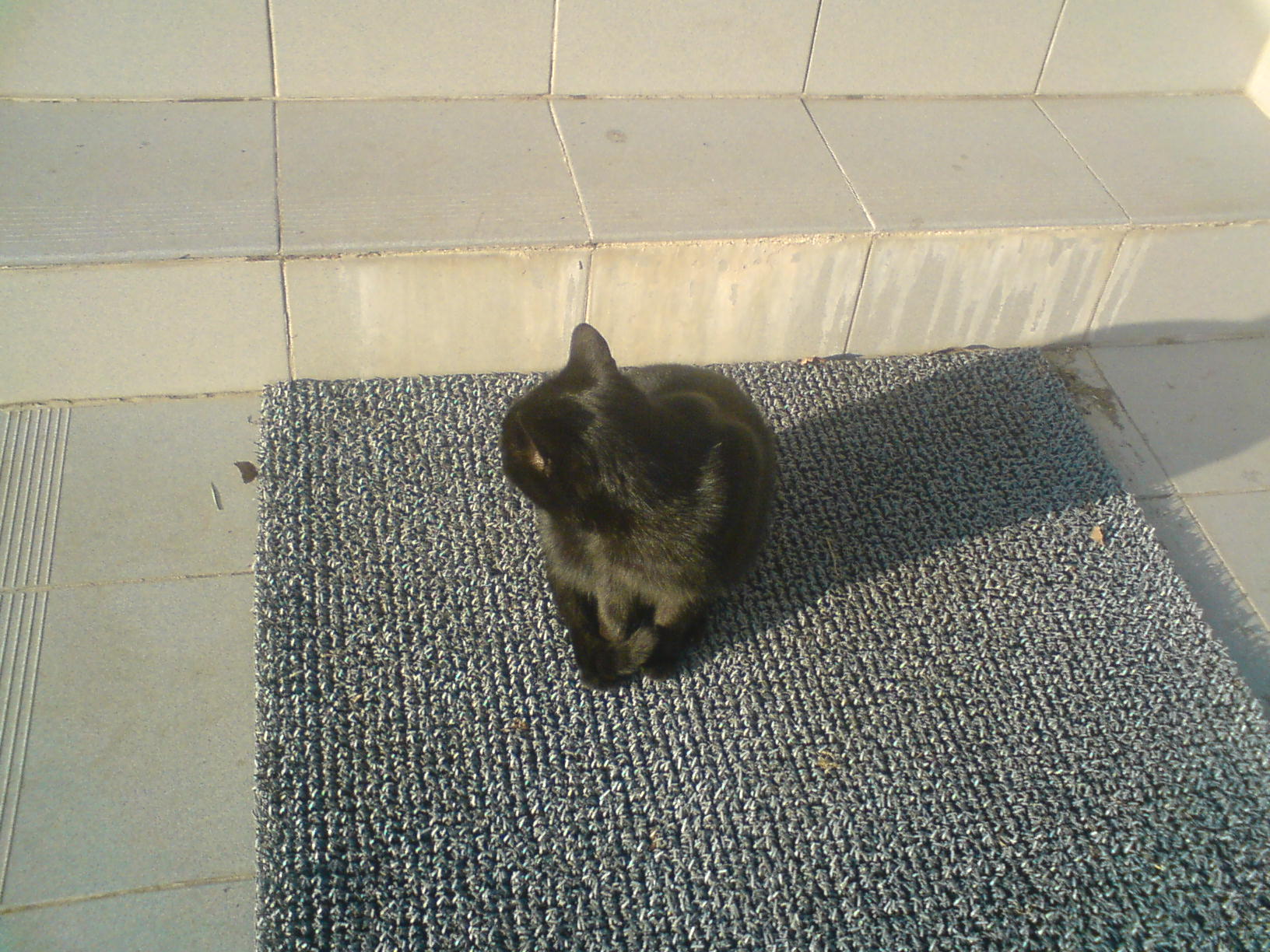 DSC00137.JPG
